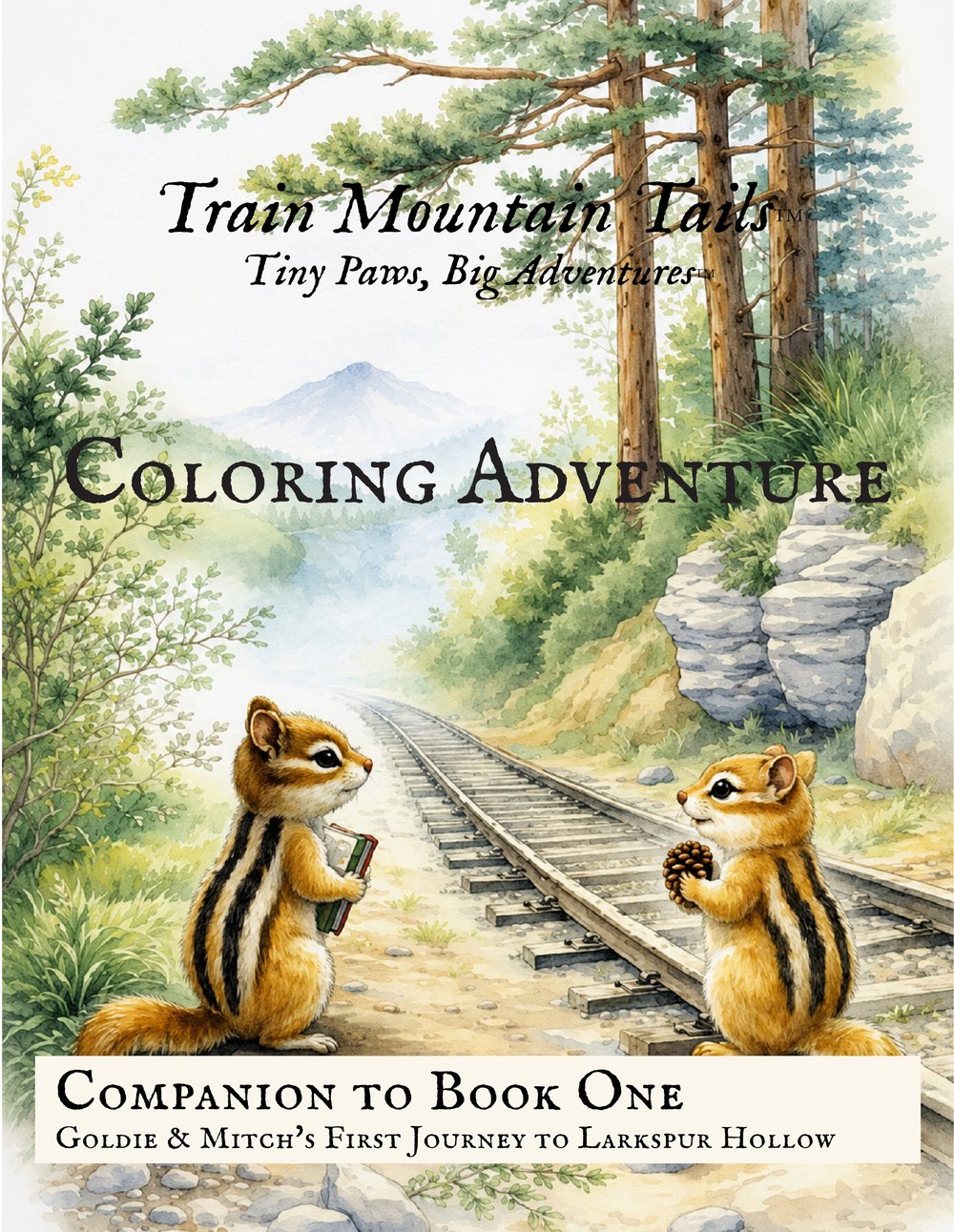 A Coloring Adventure - Companion to Book One book cover