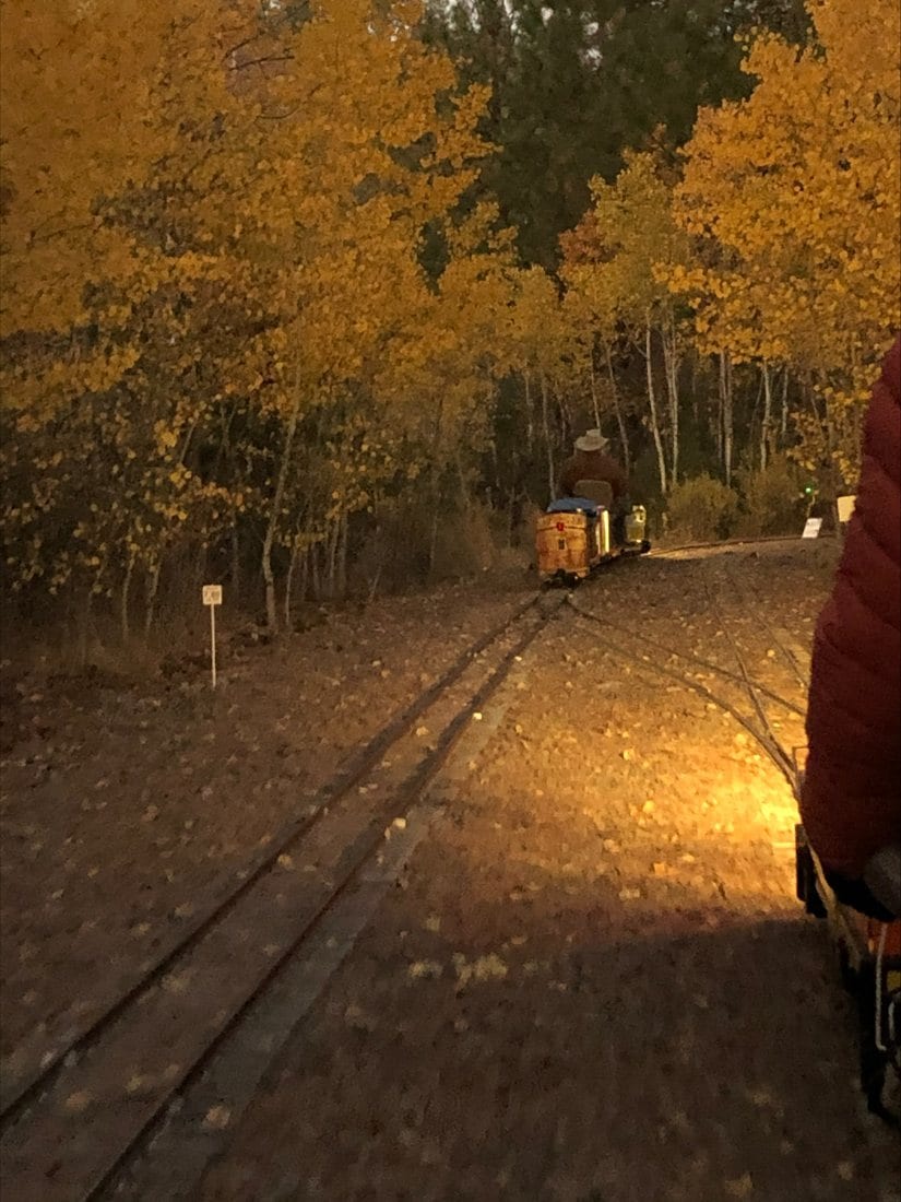 Autumn in the meadow at Train Mountain